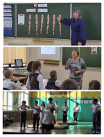 12 ноября 2024 года на базе МОУ СШ г.Сенгилея прошел муниципальный методический семинар учителей начальных классов «Развитие креативного мышления на уроках в начальной школе».